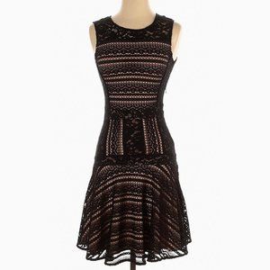 BCBGMaxAzria Jalina Sleeveless Lace-Blocked Dress